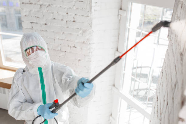 Forensic Mold Investigation in Pennington, NJ