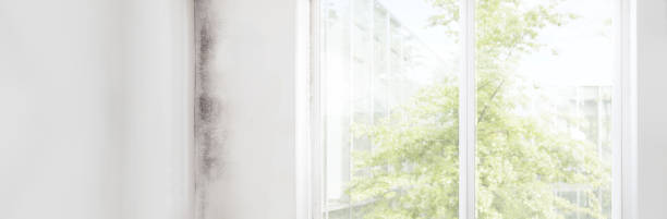 Best Residential Mold Inspection & Testing  in Pennington, NJ