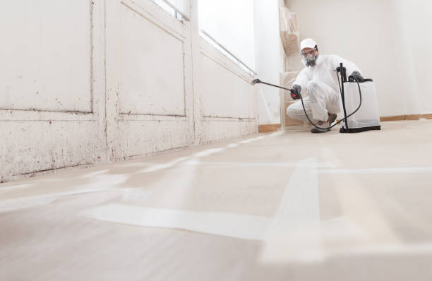 Best Mold Damage Restoration  in Pennington, NJ